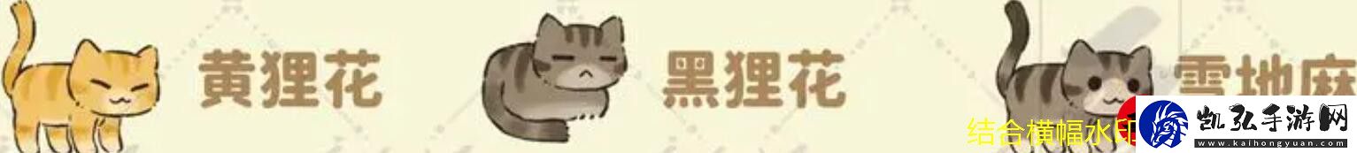炉石传说凯尔萨斯之怒乱斗攻略解析