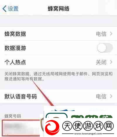 分享iphone13怎么开启5g络