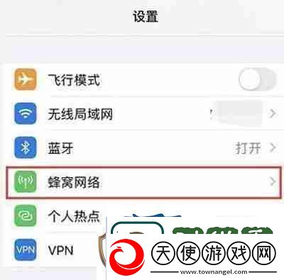 分享iphone13怎么开启5g络