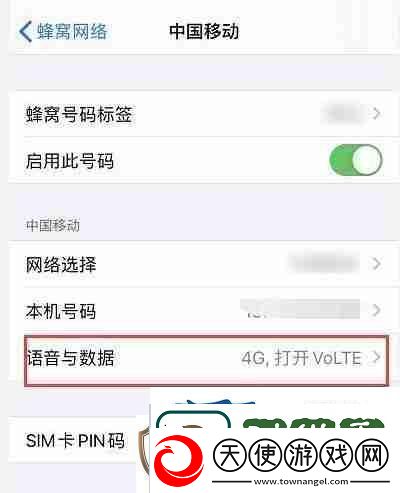 分享iphone13怎么开启5g络