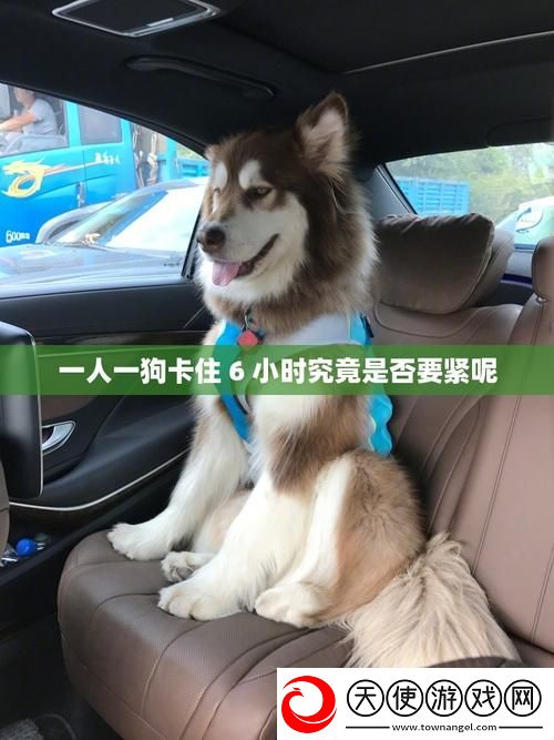 一人一狗卡住6个小时