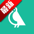 seo短视频网页入口自动跳转端午粽情版