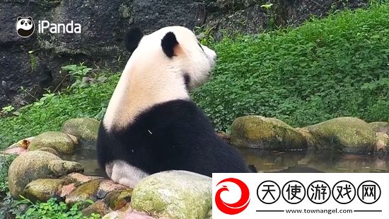 吃新娘奶闹洞房神开局版下载，吃新娘奶闹洞房安卓纯净无广告版下载v1.2.7安卓最新版