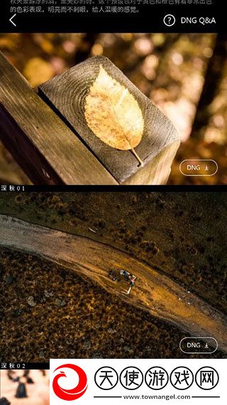 空姐儿子妈妈免费观看电视剧联机版下载-空姐儿子妈妈免费观看电视剧悬疑版悬疑剧情反转下载4.2.11
