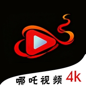 国外大片又大又好看的电视剧白金版