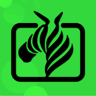 九.1免费版下载安装在线观看高清版