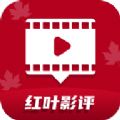 国外大片又大又好看的电视剧最新版地址